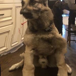 Meet your Posher, Jaun